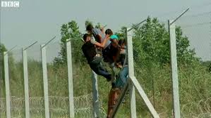 5.809 de migranţi au intrat duminică în Ungaria
