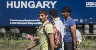 5.000 de imigranţi reţinuţi de autorităţile ungare pentru trecerea ilegală a graniţei