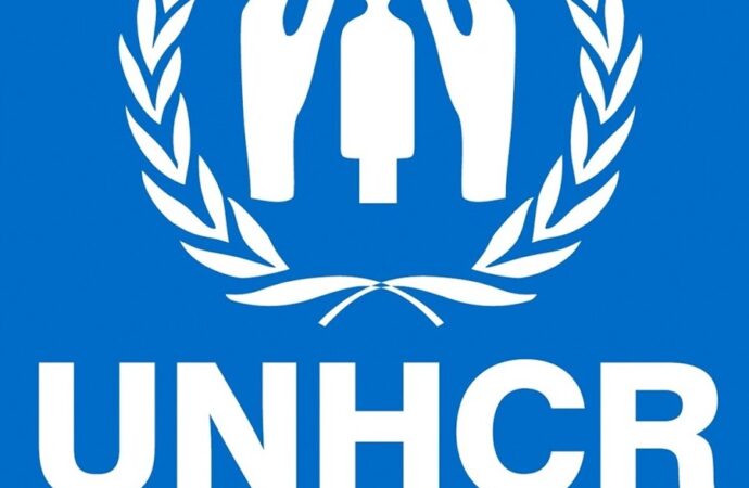 ONU consideră ilegale expulzările colective de imigranţi, parte a proiectului de acord UE-Turcia