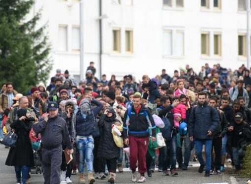 Haos la granita dintre Slovenia si Austria. 4.000 de imigranti au patruns cu forta pe teritoriul austriac