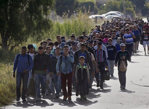 Avertismentul care pune în alertă Europa: Încă un milion de imigranţi vor veni în 2016