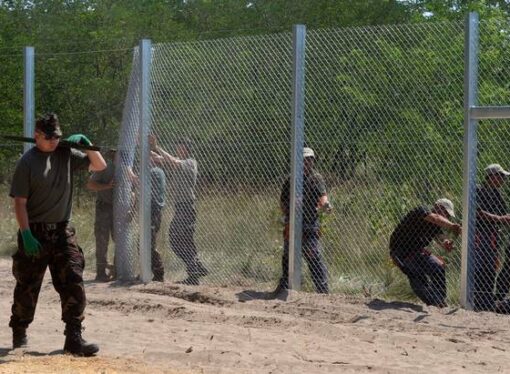 Gardul Ungariei cu Serbia, escaladat de imigranţi
