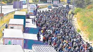 O armată europeană este necesară pentru a apăra frontierele Schengen de migranţi. Preşedintele Cehiei: Valul de refugiaţi va fi chiar şi de cinci ori mai mare