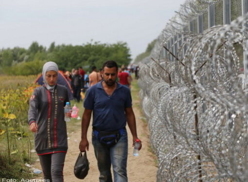 Ungaria isi consolideaza gardul antimigratie la frontiera cu Serbia. Decizia care a alertat autoritatile de la Budapesta