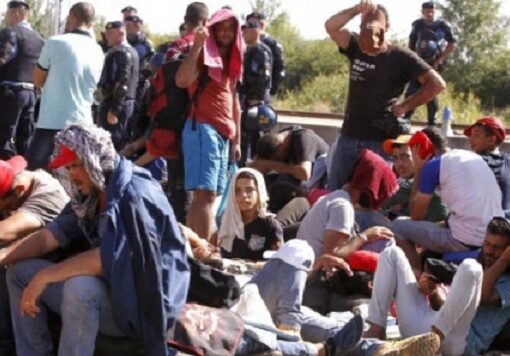 Serbia: Sute de migranti au intrat in greva foamei si au pornit in mars spre Ungaria