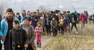 Trei cetăţeni sârbi, arestaţi pentru că urmau să transporte 64 de imigranţi spre vestul Europei