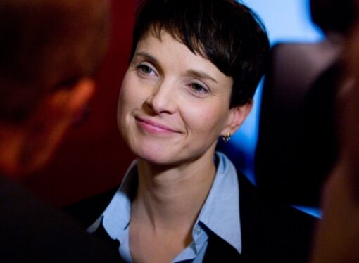 Liderul formaţiunii germane anti-imigraţie AfD a rămas fără maşină