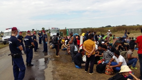 Imigranţi la graniţa României cu Serbia. 29 de persoane din Siria, printre care 17 copii au fost opriţi în timp ce încercau să intre în ţară