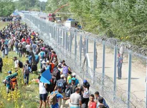 Zeci de imigranţi din Irak descoperiţi în România