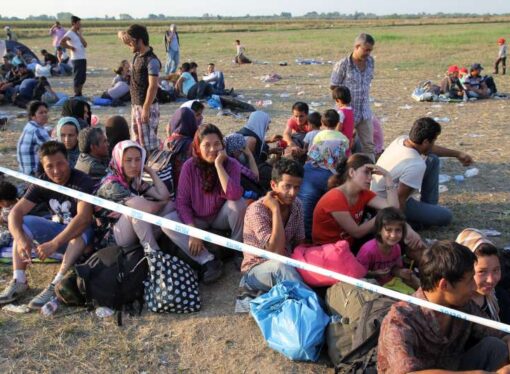 Un sârb de 42 de ani, reținut pentru trafic de migranți