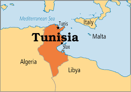 Tunisia respinge criticile Germaniei în materie de migraţie