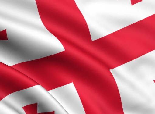 Georgia respinge o propunere a ministrului austriac de externe de a prelua refugiaţi ajunşi în UE
