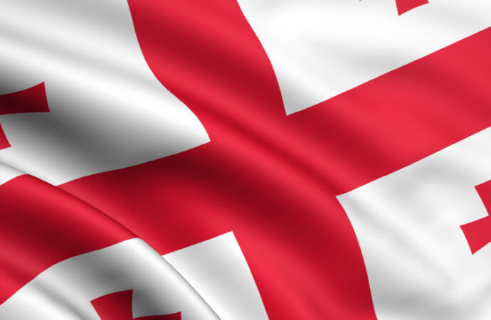 Georgia respinge o propunere a ministrului austriac de externe de a prelua refugiaţi ajunşi în UE
