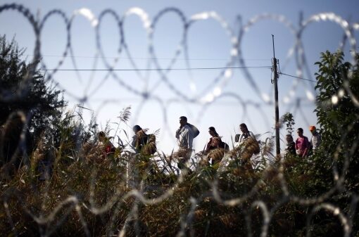 Poliția de frontieră a capturat 16 migranți care încercau să intre ilegal în România. Membrii grupului provin din țări unde operează grupări teroriste