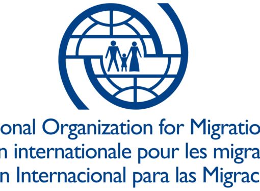 OIM: Numărul migranţilor prinşi la graniţa de sud-vest a României a crescut cu 40%