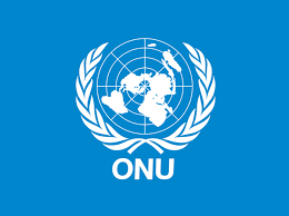 ONU cere o reformă urgentă a sistemului de azil al Uniunii Europene