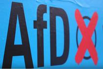 Ironia alegerilor din Germania: AfD, partid anti-imigratie, aduce in Bundestag mai multi parlamentari cu origini in imigratie decat conservatorii lui Merkel