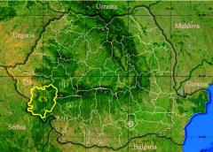 11 migranți au fost opriți la granița cu Serbia