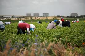 Exploatarea forţei de muncă zguduie Serbia: în cel mai mare pericol sunt copii și imigranții