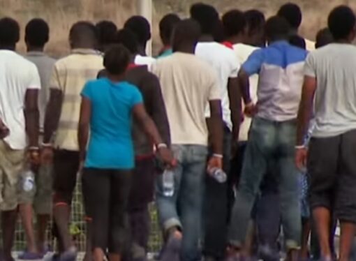 Arad: Trei suspecţi au fost reţinuţi în urma percheziţiilor care au vizat gruparea specializată în trafic de migranţi