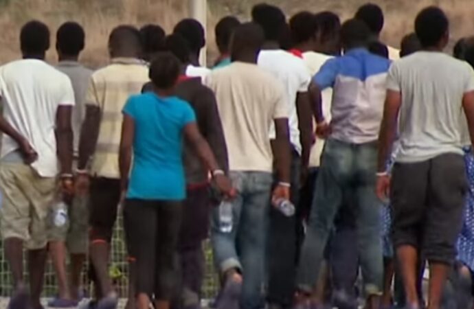 Arad: Trei suspecţi au fost reţinuţi în urma percheziţiilor care au vizat gruparea specializată în trafic de migranţi