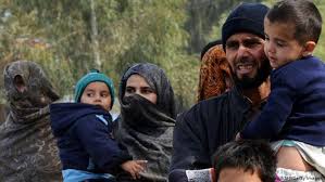 Zece migranţi din Afganistan, prinşi pe câmp în timp ce încercau să treacă graniţa în Ungaria
