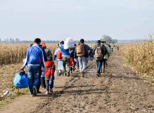 Lituania vrea să construiască o barieră la graniţa cu Belarus. Autorităţile susţin că au dovezi că Lukaşenko trimite migranţi înspre Uniunea Europeană
