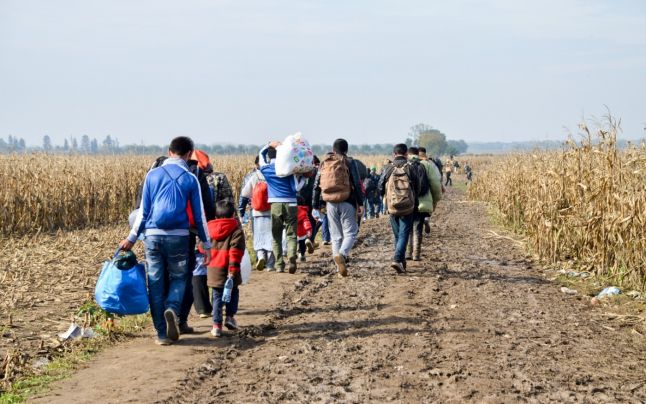 Lituania vrea să construiască o barieră la graniţa cu Belarus. Autorităţile susţin că au dovezi că Lukaşenko trimite migranţi înspre Uniunea Europeană