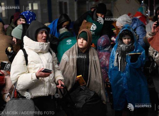 Refugiaţi ucraineni: Londra va instala ”un fel de consulat” la Calais, anunţă ministrul de intern francez