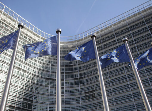Cererile de azil în UE au crescut cu 50% în 2022