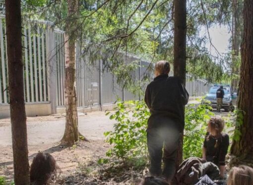 Zeci de migranţi, blocaţi de câteva zile în Pădurea Bialowieza, la frontiera dintre Polonia şi Belarus