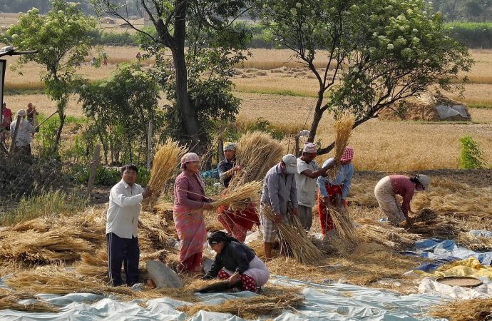 Grecia a demantelat o “grupare de sclavie modernă” care exploata migranți nepalezi racolați din România