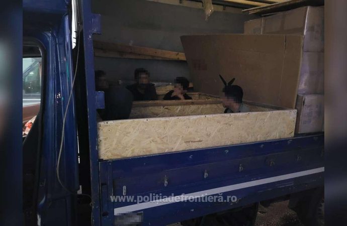 Șase cetățeni sirieni ascunși prin metoda capac în două lăzi de lemn, depistați la Calafat